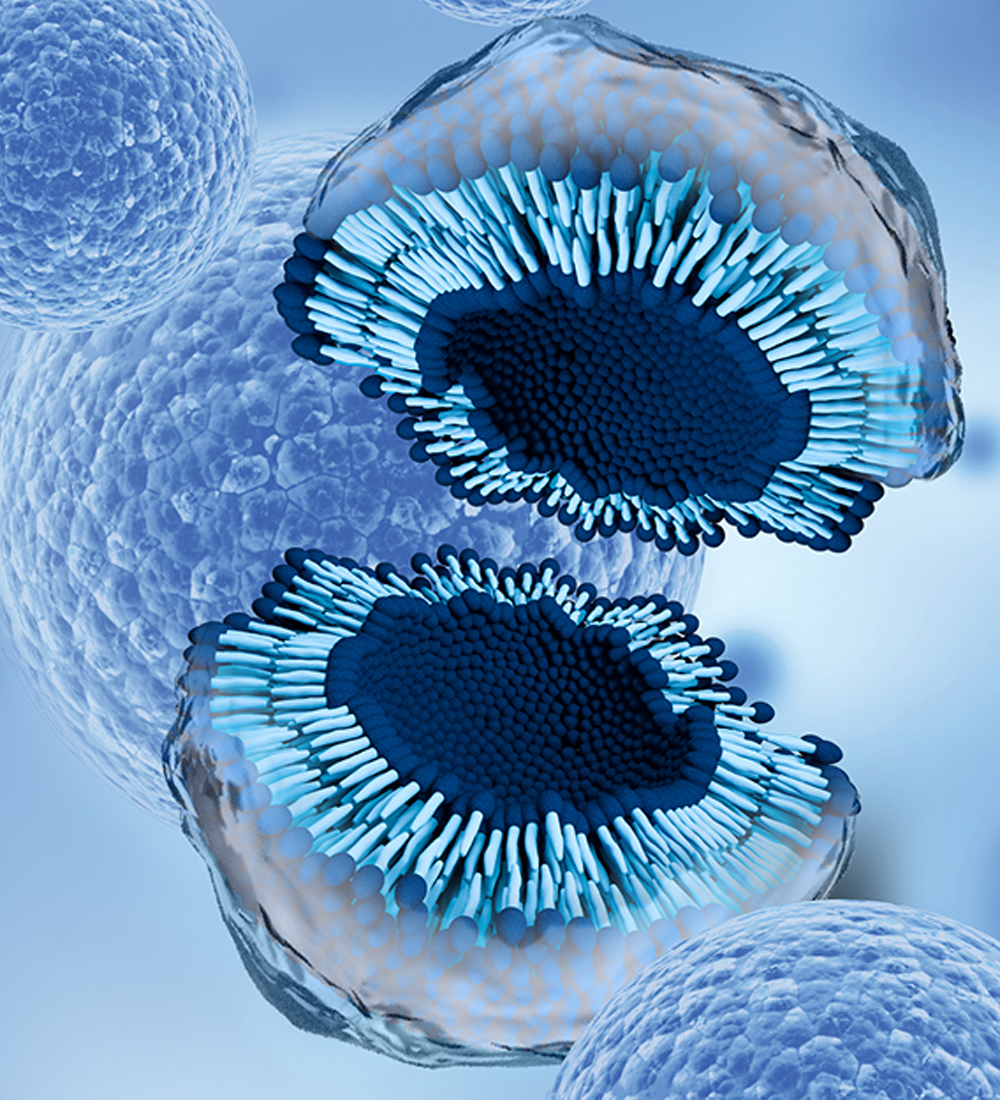 exosomes